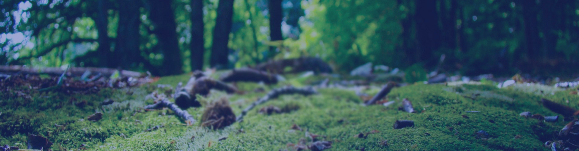 重金属螯合剂,重金属综合回收,活化剂